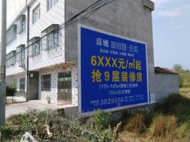 巢湖墙体广告质量分析