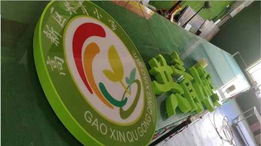 巢湖常见的发光字类型